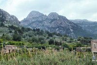 Alfabia Mountains which surround the towns in the region