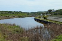 Walking through the S'Albufera Natural Park Biosphere Reserve