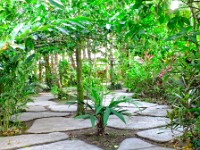 Views of the Pachira Lodge