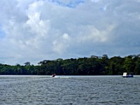 Touring the tributaries in Tortuguero National Prk