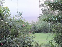 The grounds outside our room with Arenal volcano hidden in the clouds