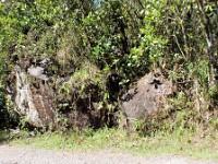 Lava boulders along the trail