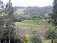 The Heliconia Ranch near Monteverde