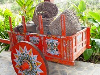 Traditional Costa Rican ox cart