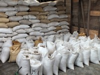 Coffee beans bagged in the warehouse