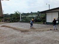 Drying coffe beans outside the mill