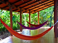 How to relax in the rain forest