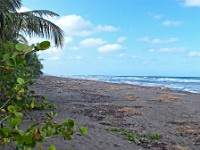 The beach at Tortuguero