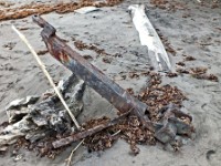 Debris on the beach