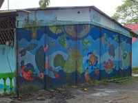 Walking through the town of Tortuguero