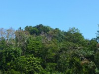 Highlands along a tributary of the Rio Tortuguero