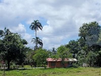 Views of the countryside on the way to a banana plantation