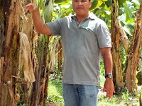 Edgar, our tour guide giving a lesson about growing bananas