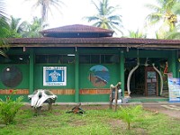 The Sea Turtle Conservancy in Tortuguero National Park