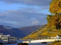 Afternoon sun on the Rhine