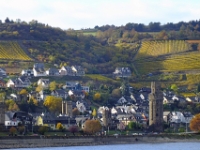 Oberwesel and vineyards