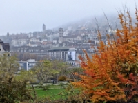 Views of the town from Zurichberg